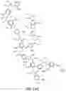Fig. 03 - P-coumaroyl-CoA:monolignol transferase