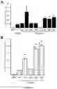 Fig. 02 - ACID-ALPHA GLUCOSIDASE VARIANTS AND USES THEREOF