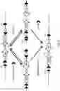 Fig. 09 - Multifunctional alleles