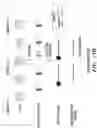 Fig. 32 - METHODS AND COMPOSITIONS RELATING TO DETECTION OF RECOMBINATION AND REARRANGEMENT EVENTS