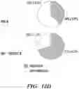 Fig. 35 - METHODS AND COMPOSITIONS RELATING TO DETECTION OF RECOMBINATION AND REARRANGEMENT EVENTS