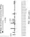 Fig. 64 - METHODS AND COMPOSITIONS RELATING TO DETECTION OF RECOMBINATION AND REARRANGEMENT EVENTS