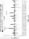 Fig. 75 - METHODS AND COMPOSITIONS RELATING TO DETECTION OF RECOMBINATION AND REARRANGEMENT EVENTS