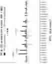 Fig. 76 - METHODS AND COMPOSITIONS RELATING TO DETECTION OF RECOMBINATION AND REARRANGEMENT EVENTS