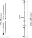 Fig. 89 - METHODS AND COMPOSITIONS RELATING TO DETECTION OF RECOMBINATION AND REARRANGEMENT EVENTS
