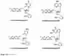 Fig. 07 - DNA sequencing with non-fluorescent nucleotide reversible terminators and cleavable label modified nucleotide terminators