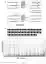 Fig. 22 - DNA sequencing with non-fluorescent nucleotide reversible terminators and cleavable label modified nucleotide terminators