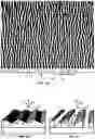 Fig. 02 - Nanowire grid polarizer on a curved surface and methods of making and using