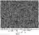 Fig. 06 - Nanowire grid polarizer on a curved surface and methods of making and using
