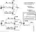 Fig. 01 - Chemically encoded spatially addressed library screening platforms