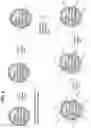 Fig. 07 - Chemically encoded spatially addressed library screening platforms