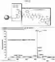 Fig. 09 - Chemically encoded spatially addressed library screening platforms