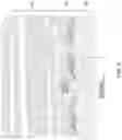 Fig. 07 - FUNGAL COMPOSITES COMPRISING MYCELIUM AND AN EMBEDDED MATERIAL