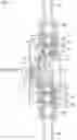 Fig. 02 - Valve seat and valve structure