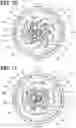 Fig. 09 - Fuel control valve