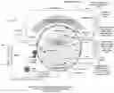 Fig. 01 - Active magnetic regenerative liquefier using process gas pre-cooling from bypass flow of heat transfer fluid