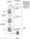 Fig. 03 - Active magnetic regenerative liquefier using process gas pre-cooling from bypass flow of heat transfer fluid