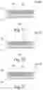 Fig. 07 - Heat-dissipating sheet