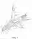 Fig. 02 - Cut-on-contact broadhead