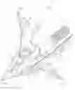 Fig. 01 - Cut-on-contact broadhead
