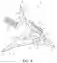 Fig. 05 - Cut-on-contact broadhead