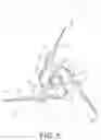 Fig. 06 - Cut-on-contact broadhead
