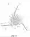 Fig. 07 - Cut-on-contact broadhead