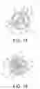 Fig. 16 - Cut-on-contact broadhead