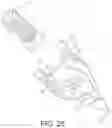 Fig. 24 - Cut-on-contact broadhead
