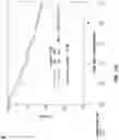 Fig. 16 - Method for measuring MRE11 in tissues to predict cystectomy or bladder sparing surgery plus chemoradiation therapy
