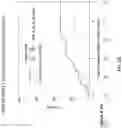 Fig. 17 - Method for measuring MRE11 in tissues to predict cystectomy or bladder sparing surgery plus chemoradiation therapy