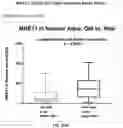 Fig. 31 - Method for measuring MRE11 in tissues to predict cystectomy or bladder sparing surgery plus chemoradiation therapy