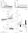 Fig. 02 - METHODS AND COMPOSITIONS FOR MODIFYING CYSTIC FIBROSIS TRANSMEMBRANE CONDUCTANCE REGULATOR ACTIVITY