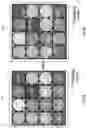 Fig. 05 - Multispectral sensing system and method