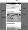 Fig. 44 - DISCOVERY AND SHARING OF PHOTOS BETWEEN DEVICES