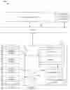 Fig. 02 - Tailoring container images to a specific microarchitecture in virtualized environments