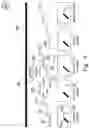 Fig. 07 - Method and system for synthesizing a lane image