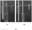 Fig. 07 - Integrated sensor calibration in natural scenes