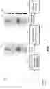 Fig. 02 - Patient-Adaptive Nuclear Imaging