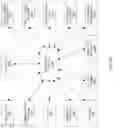 Fig. 28 - RF tag with memory management