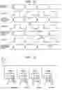Fig. 07 - Neural network circuit