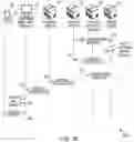 Fig. 07 - Payment transaction methods and systems enabling verification of payment amount by fingerprint of customer