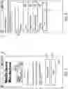Fig. 07 - SYSTEM AND METHOD OF DETECTING FRAUD IN THE PROVISION OF A DEAL FOR A SERVICE ON A MOBILE DEVICE