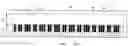 Fig. 01 - Keyboard apparatus