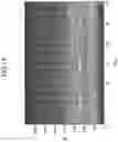 Fig. 09 - Audio extraction apparatus, machine learning apparatus and audio reproduction apparatus