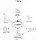 Fig. 02 - Method for associating an AI device with a device based on a behavior pattern of a user and an apparatus therefor