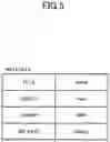 Fig. 06 - Content reproduction device, content reproduction method, and content reproduction system