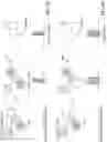 Fig. 11 - Quantum shift register incorporating bifurcation