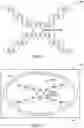 Fig. 44 - Quantum shift register incorporating bifurcation