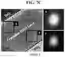 Fig. 18 - Thin film transistor and vertical non-volatile memory device including transition metal-induced polycrystalline metal oxide channel layer